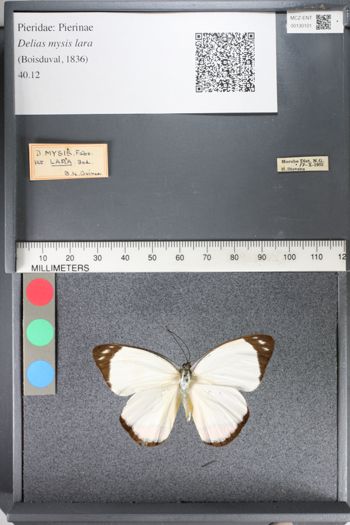 Media type: image;   Entomology 130101